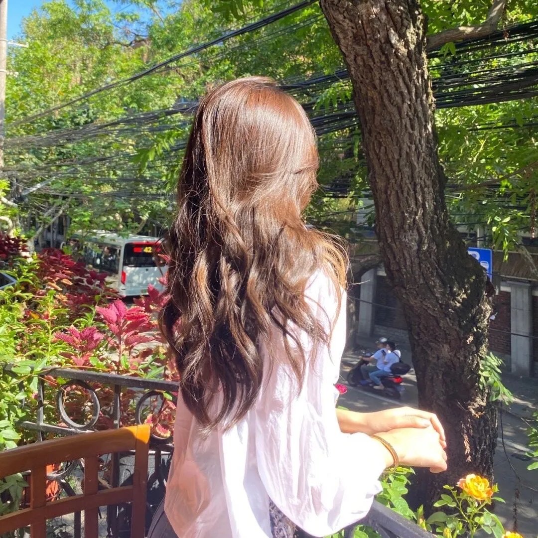 绿头苍蝇